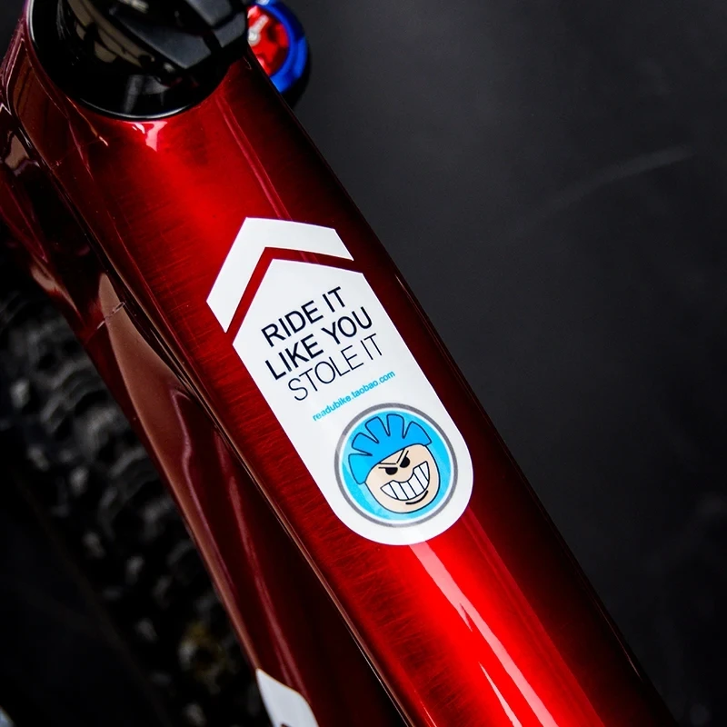 Mountain Biking Pictures - 2 Stuks Mountainbike Fiets Frame Stickers